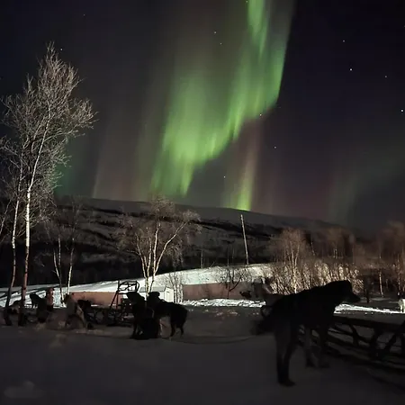 게스트하우스 Aurora With Sauna