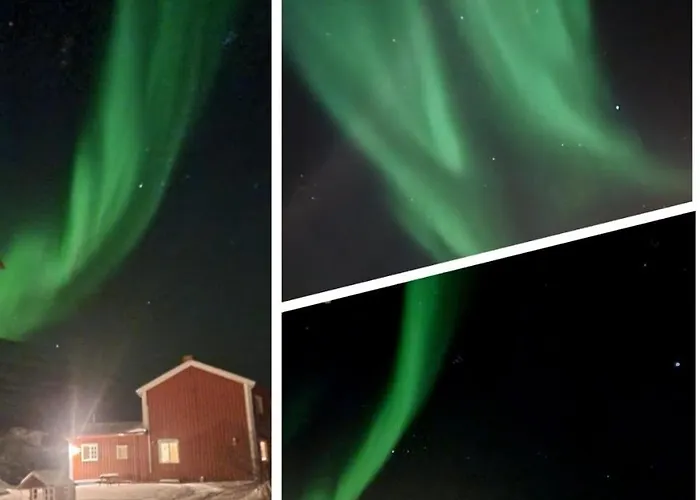 Aurora With Sauna
