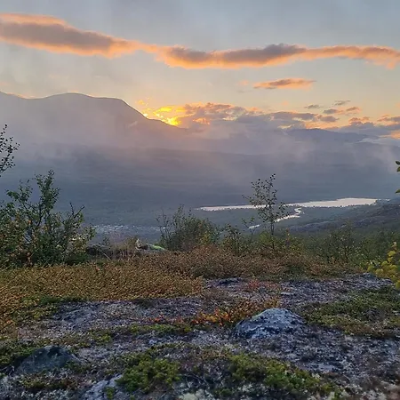 Aurora With Sauna