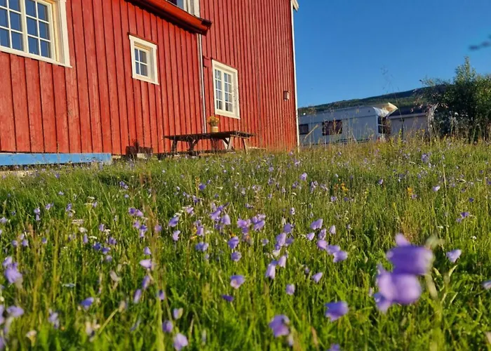 Gæstehus Aurora With Sauna *