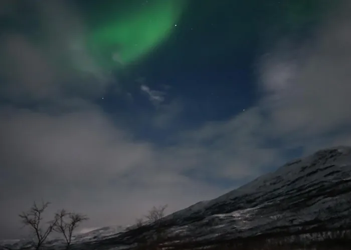 Aurora With Sauna *